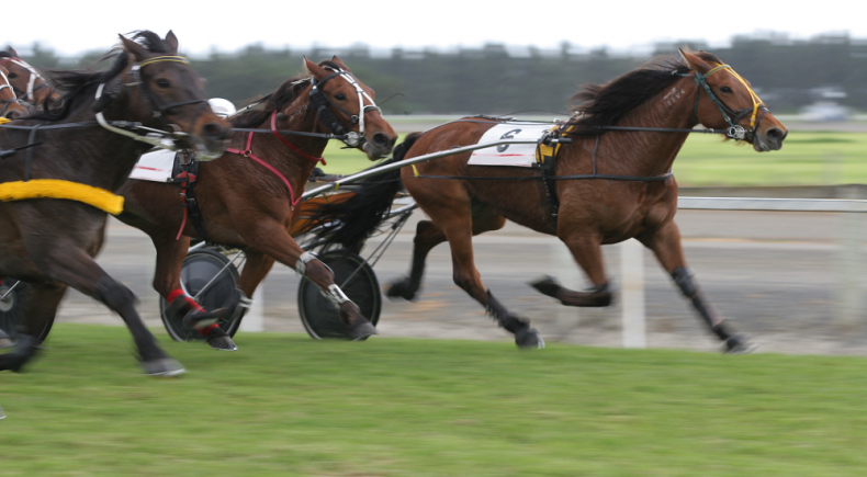 Gran Premio Campania