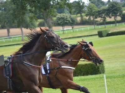 Melbourne Cup