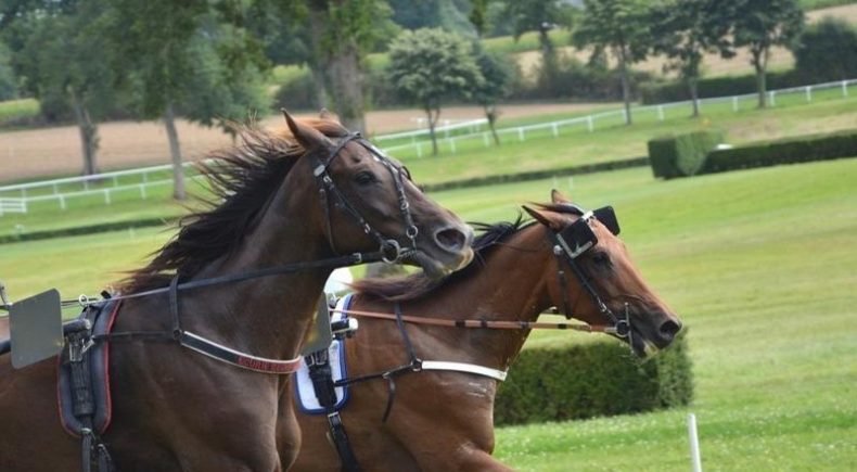 Melbourne Cup