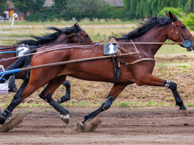 gran premio orlandi