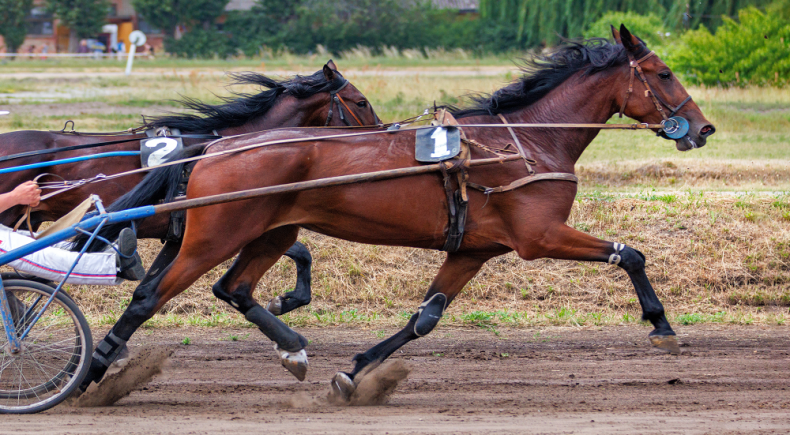 gran premio orlandi