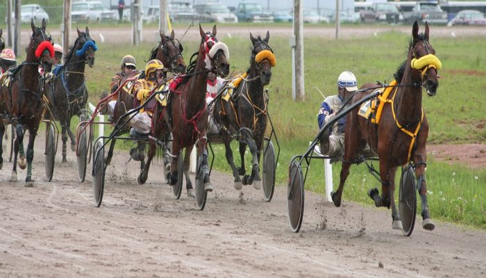 Nazionale e filly
