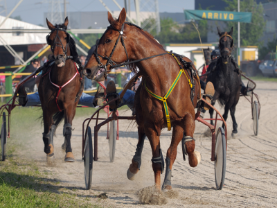 dimitri gran premio cesena