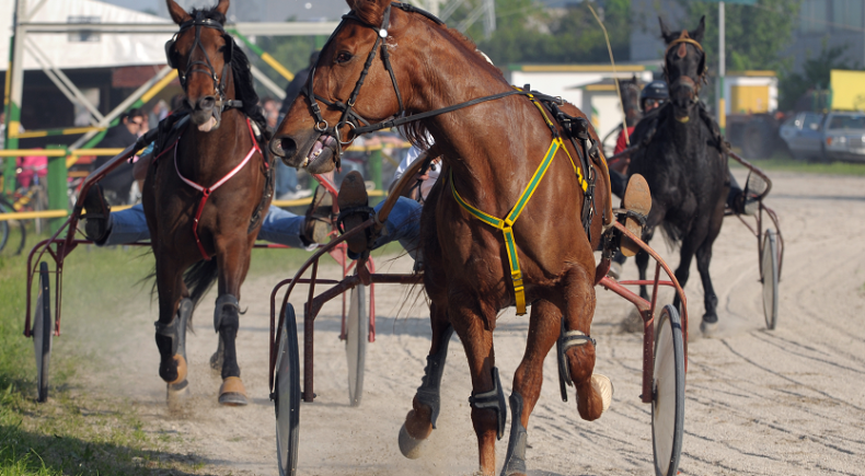 dimitri gran premio cesena