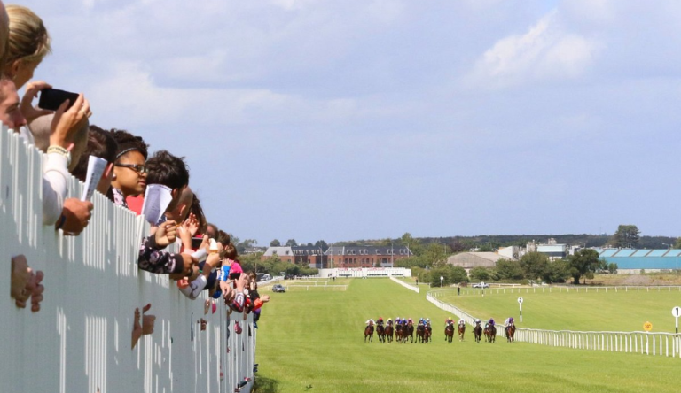 Tracciato di gara di Naas (ire).