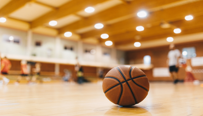 basket germania sfida la svezia