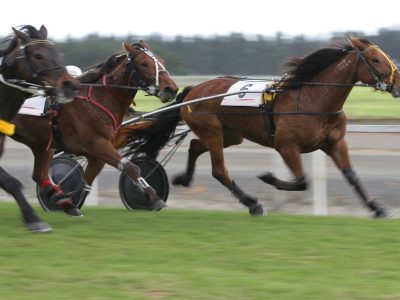 campione italiano guidatori manuel pistone