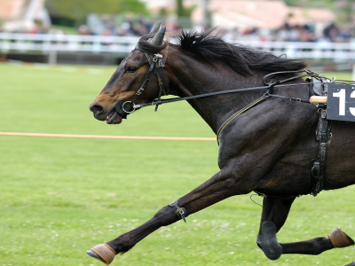 gp liguria encantador