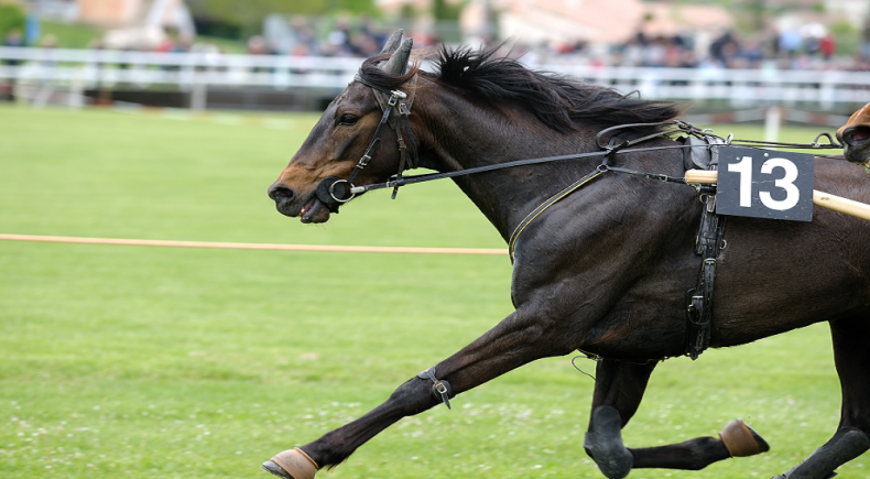 gp liguria encantador