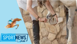 come diventare maniscalco