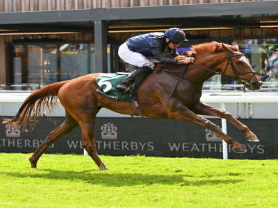 york ebor festival