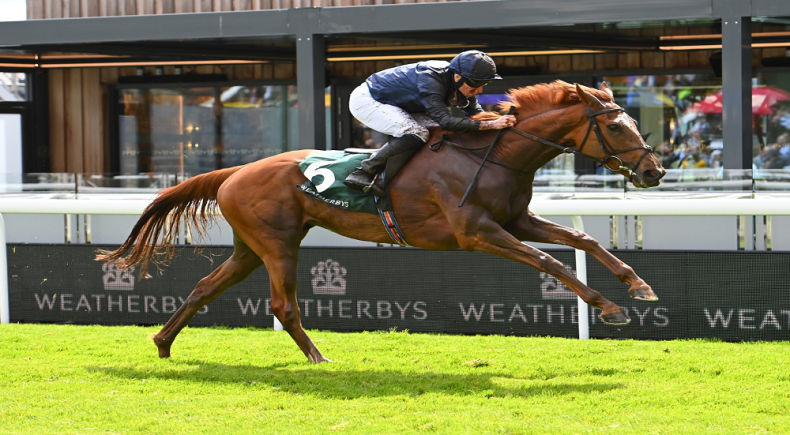 york ebor festival