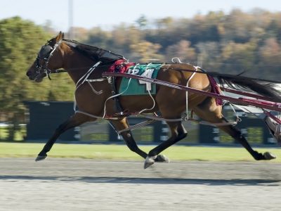 Gran Premio Marangoni e Filly