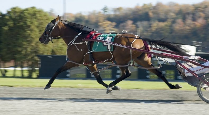Gran Premio Marangoni e Filly