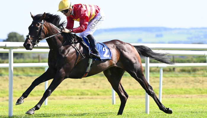curragh