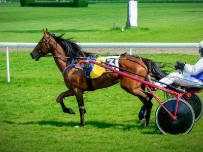 Dimitri Ferm trionfa al gran premio continentale