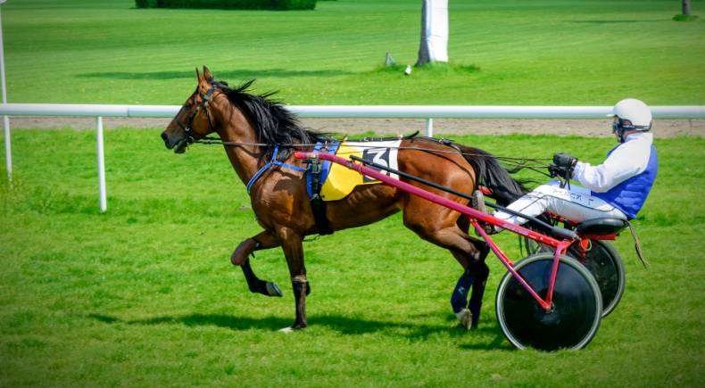 Dimitri Ferm trionfa al gran premio continentale