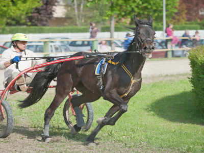 Gran Premio Biasuzzi