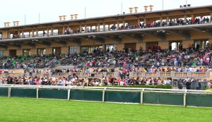 Anteprima Lydia Tesio 2023