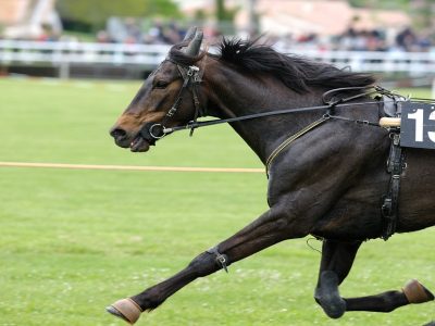 nazioni corsa cavalli