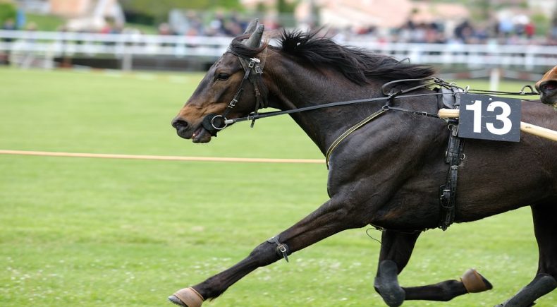 nazioni corsa cavalli