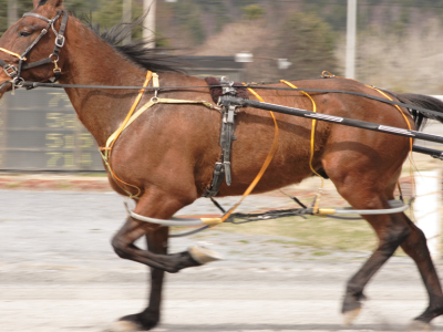 gran premio Valentinia