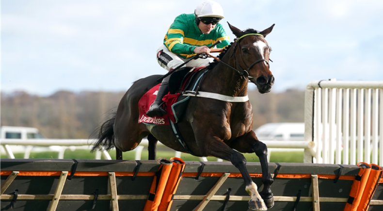 Tingle Creek Chase