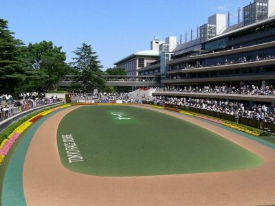 japan cup tokyo racecourse