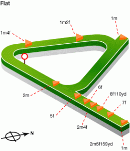 Anteprima della gara di Ascot (UK)