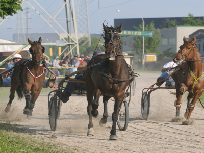 Gran Premio Allevamento Masaf