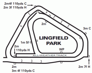 Grafica tracciato pista Lingfield Park