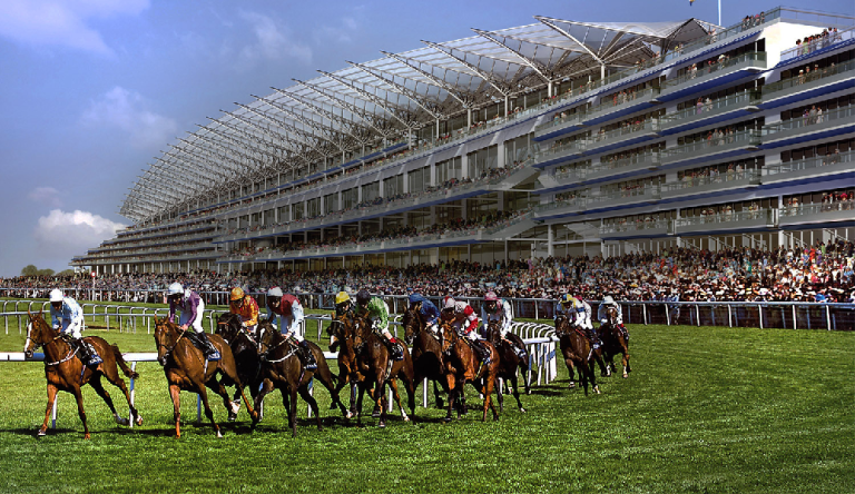 Howden Long Walk Hurdle