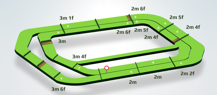 Circuito di Punchestown