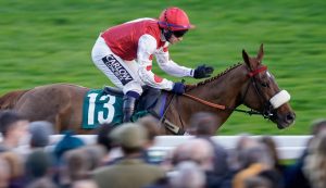 corsa all'ippodromo di Cheltenham