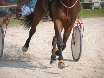 Gran Premio Andreani