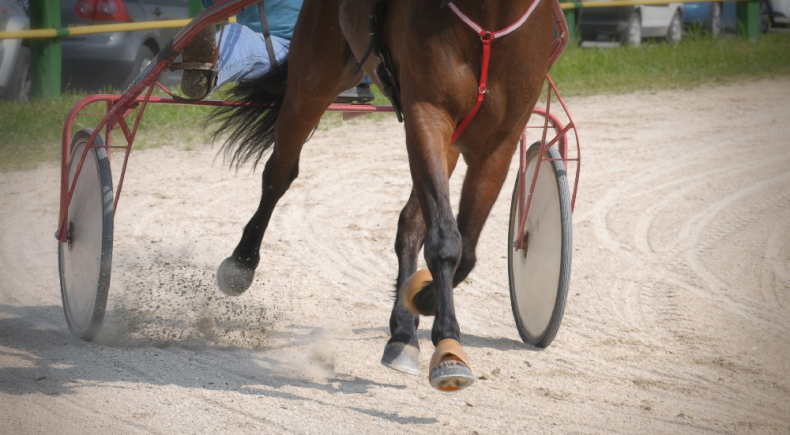 Gran Premio Andreani