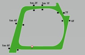 fairyhouse mappa del tracciato
