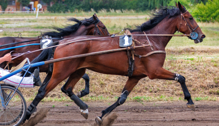 Gran Premio Città di Padova