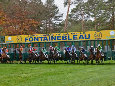 fontainebleau