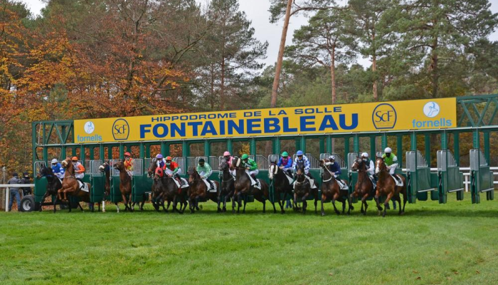 fontainebleau