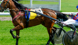 Gran Premio Costa Azzurra