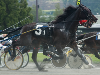 Gran Premio Ettore e Mario Barbetta