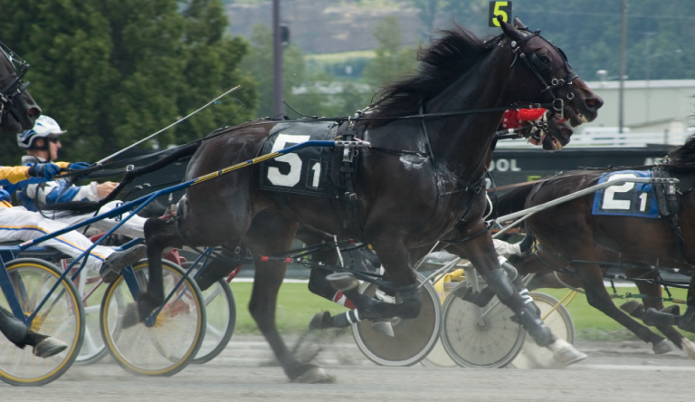 Gran Premio Ettore e Mario Barbetta