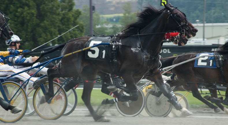 Gran Premio Ettore e Mario Barbetta