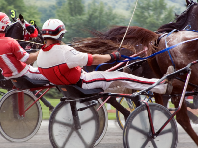 Gran Premio della Lotteria