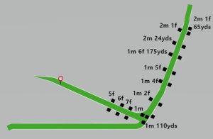 mappa dell'ippodromo newmarket.