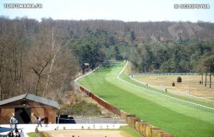 fointainebleau