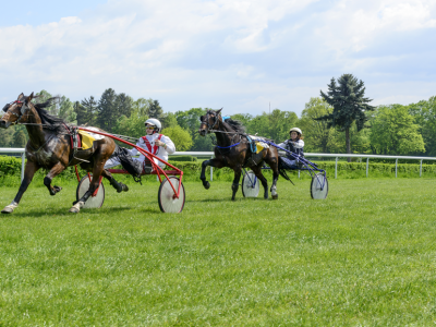 GP Gaetano Stabile