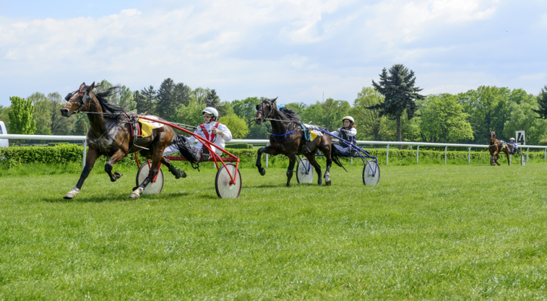 GP Gaetano Stabile