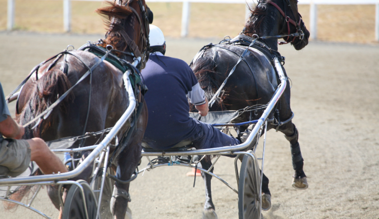 alessandro gocciadoro